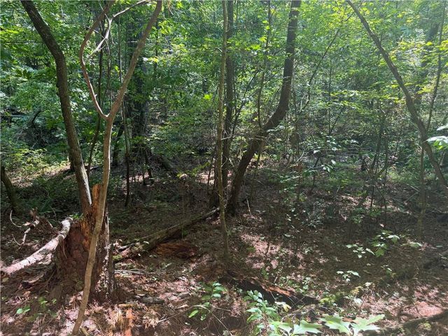 LT 32 Mission Hill Road, Ellijay, GA 30540