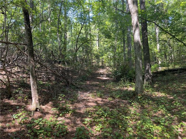 LT 32 Mission Hill Road, Ellijay, GA 30540
