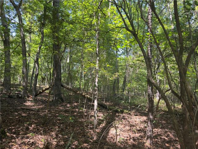 LT 32 Mission Hill Road, Ellijay, GA 30540