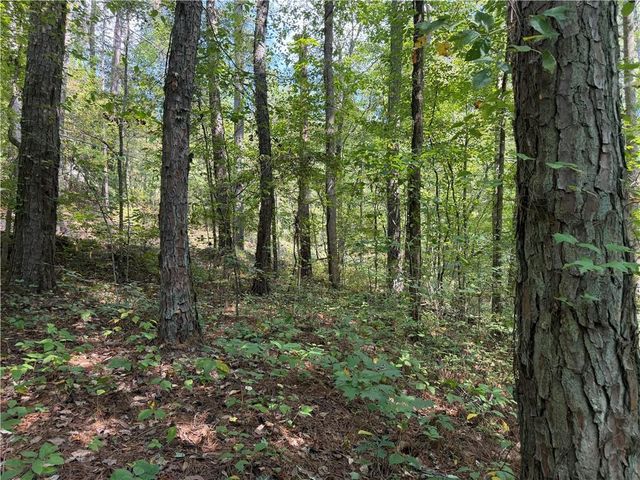 LT 32 Mission Hill Road, Ellijay, GA 30540