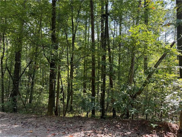 LT 32 Mission Hill Road, Ellijay, GA 30540