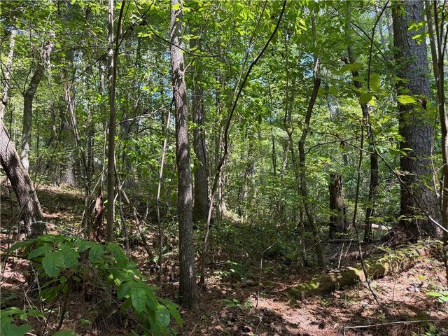 LT 32 Mission Hill Road, Ellijay, GA 30540