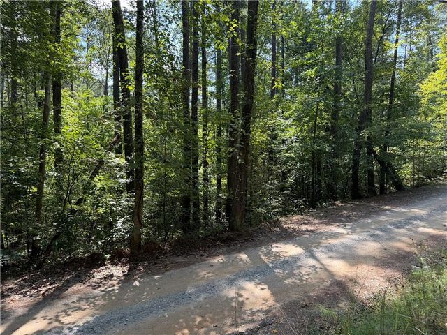 LT 32 Mission Hill Road, Ellijay, GA 30540