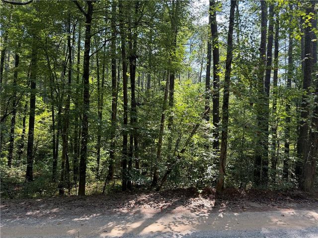 LT 32 Mission Hill Road, Ellijay, GA 30540