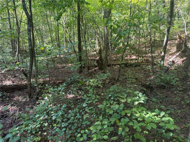 LT 32 Mission Hill Road, Ellijay, GA 30540