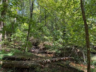 LT 32 Mission Hill Road, Ellijay, GA 30540