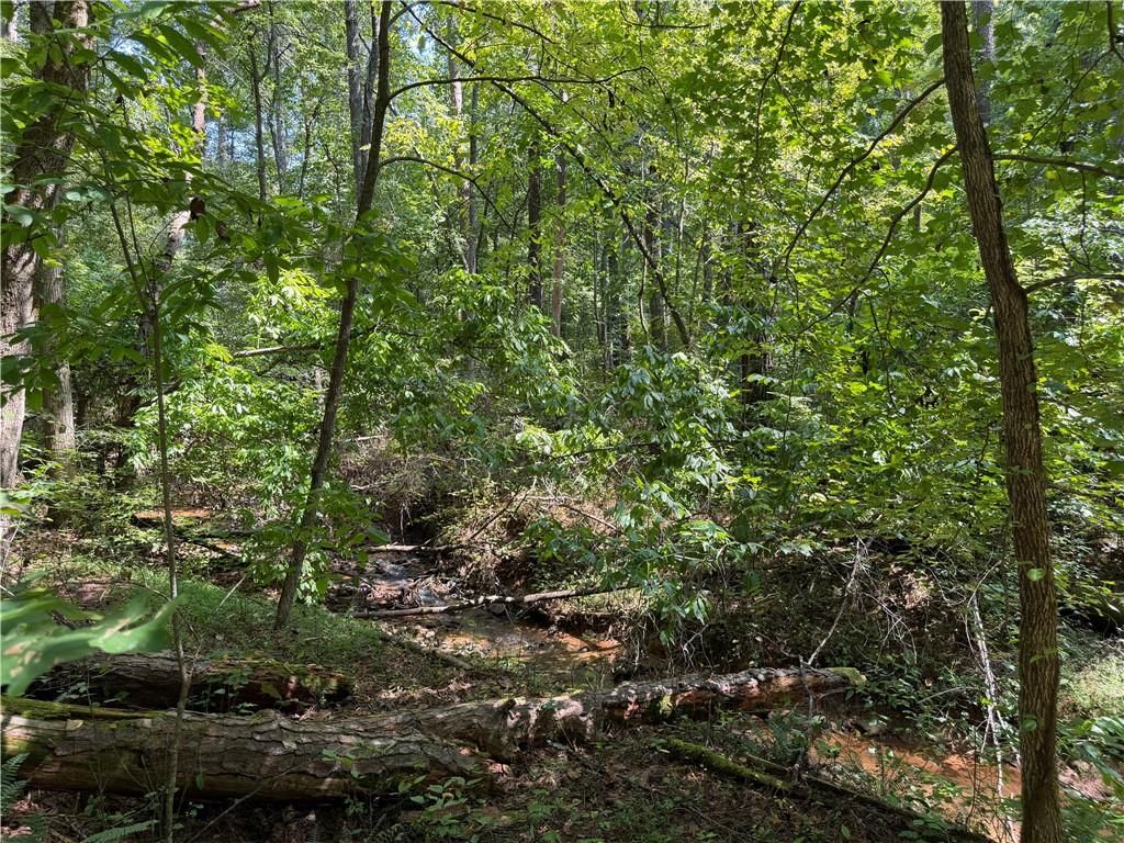 LT 32 Mission Hill Road, Ellijay, GA 30540