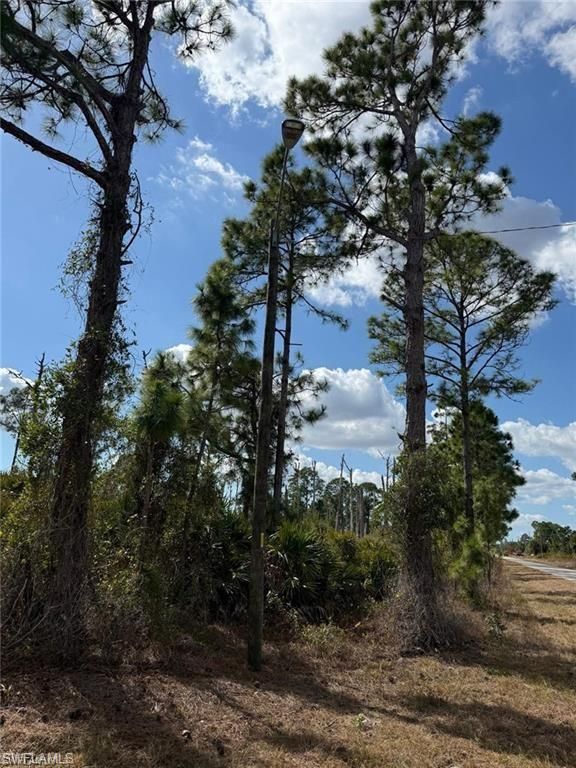 1116 Plantation RD, LEHIGH ACRES, FL 33974 — photo 3