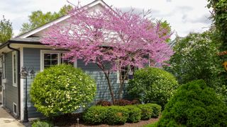 22w474 Emerson Avenue, Glen Ellyn, IL 60137