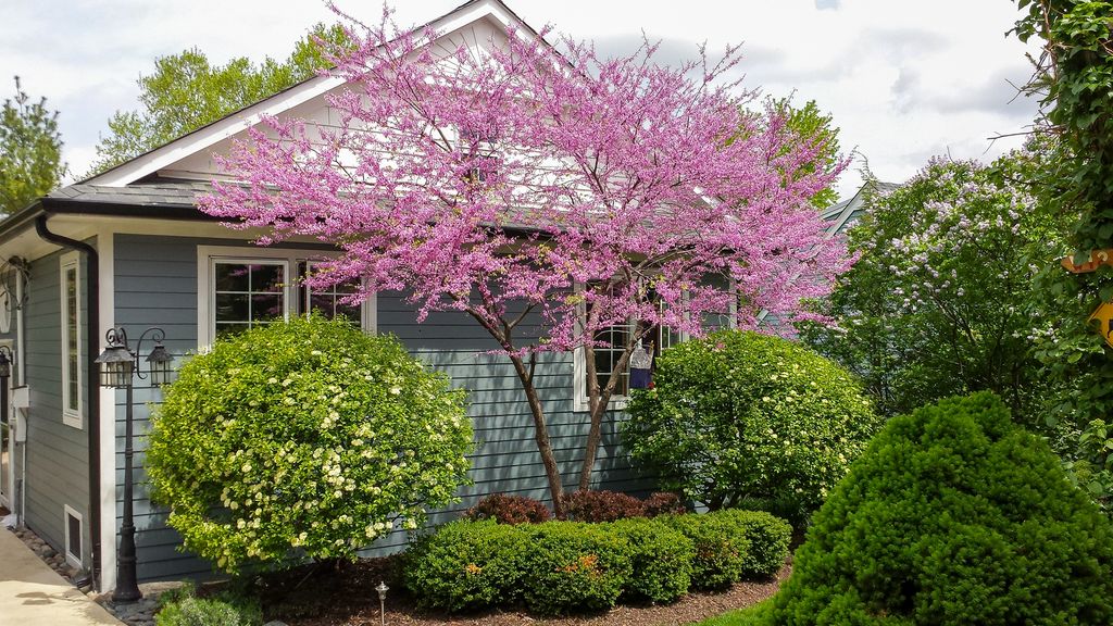 22w474 Emerson Avenue, Glen Ellyn, IL 60137