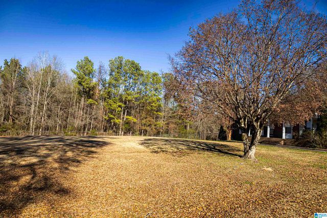 3014 MARTIN STREET S, Cropwell, AL 35054