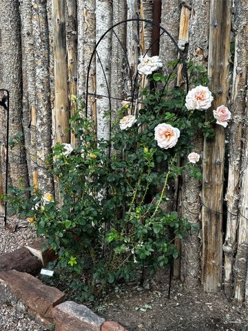 1728 Callejon Melinda, Santa Fe, NM 87501