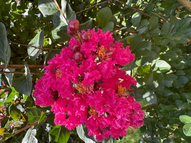 9605 County Road 3040, Mountain View, MO 65548