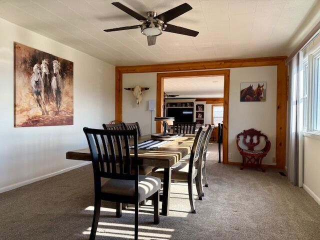 9605 County Road 3040, Mountain View, MO 65548