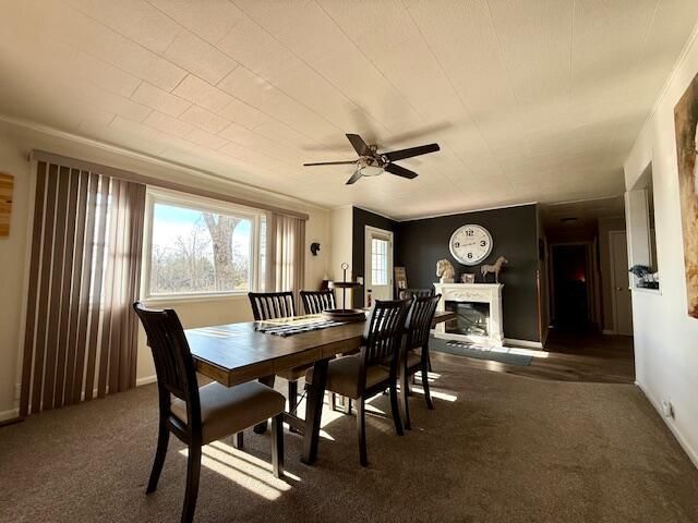 9605 County Road 3040, Mountain View, MO 65548