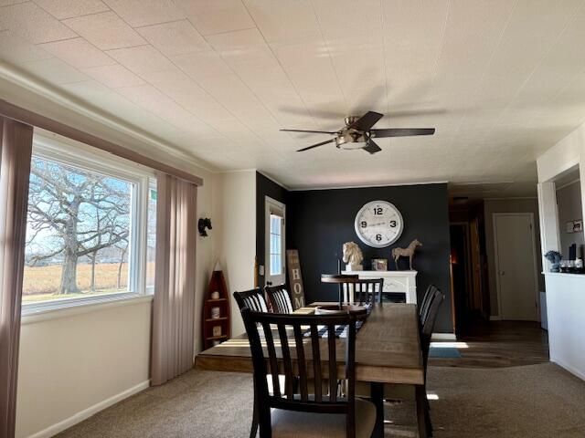 9605 County Road 3040, Mountain View, MO 65548