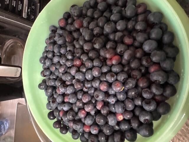 9605 County Road 3040, Mountain View, MO 65548