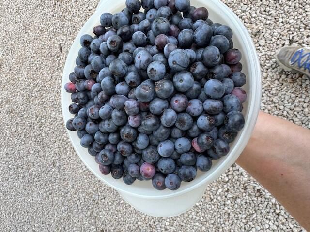 9605 County Road 3040, Mountain View, MO 65548