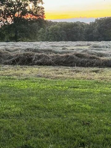 9605 County Road 3040, Mountain View, MO 65548