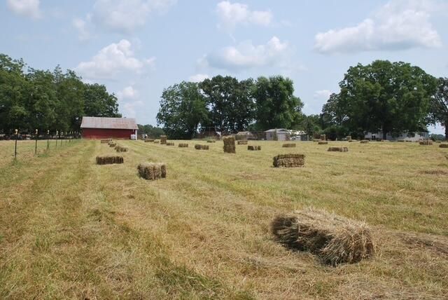 9605 County Road 3040, Mountain View, MO 65548