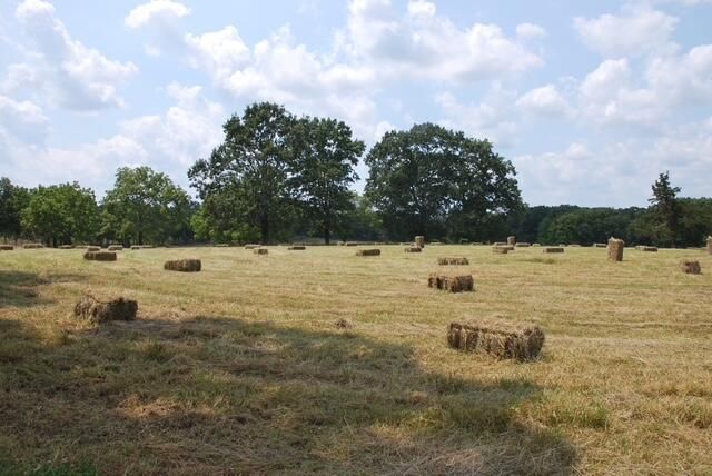 9605 County Road 3040, Mountain View, MO 65548