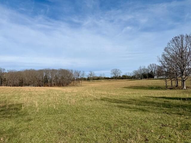 9605 County Road 3040, Mountain View, MO 65548