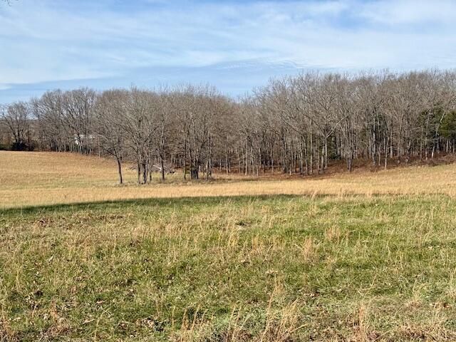 9605 County Road 3040, Mountain View, MO 65548