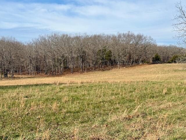 9605 County Road 3040, Mountain View, MO 65548