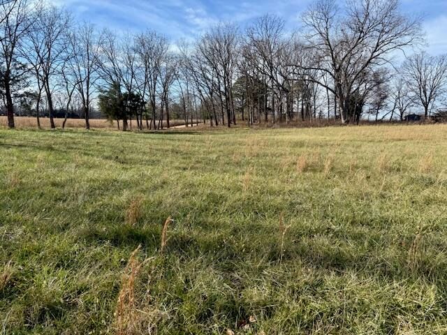 9605 County Road 3040, Mountain View, MO 65548