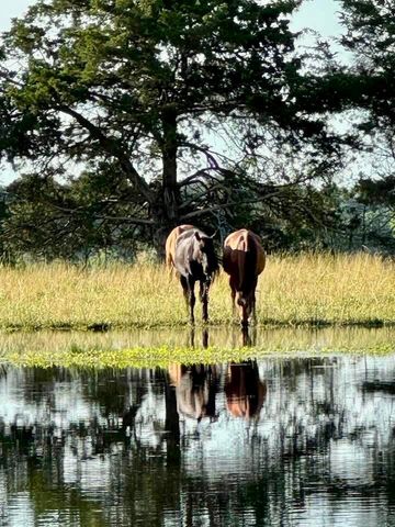 9605 County Road 3040, Mountain View, MO 65548