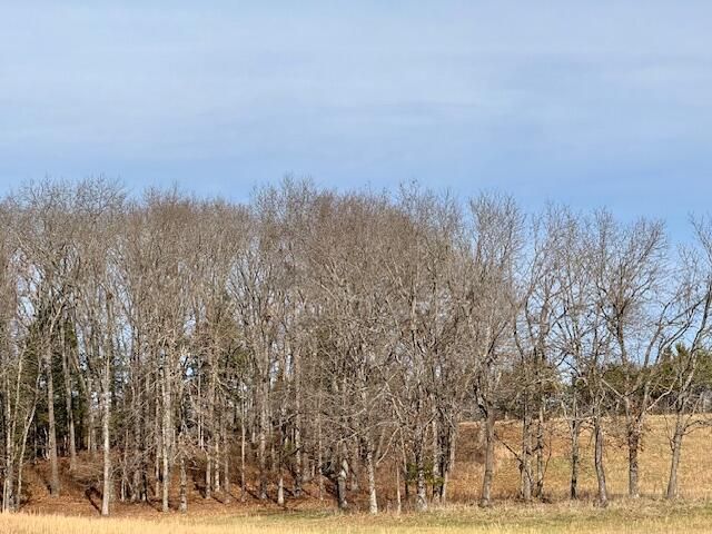 9605 County Road 3040, Mountain View, MO 65548