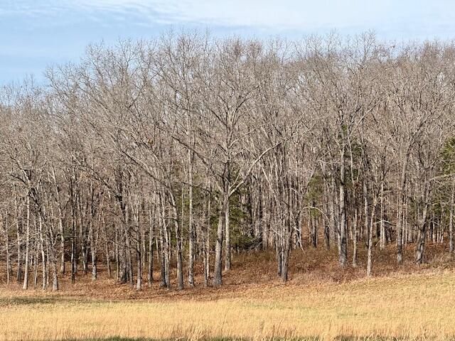 9605 County Road 3040, Mountain View, MO 65548