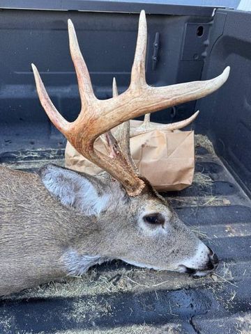 9605 County Road 3040, Mountain View, MO 65548