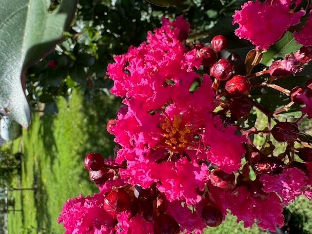 9605 County Road 3040, Mountain View, MO 65548