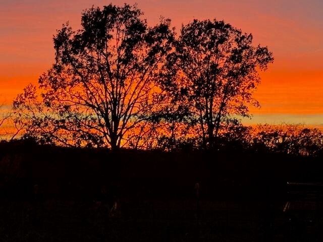 9605 County Road 3040, Mountain View, MO 65548