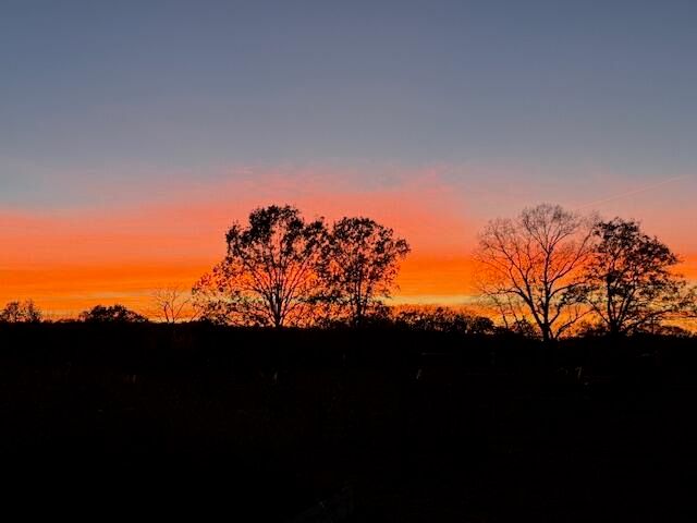 9605 County Road 3040, Mountain View, MO 65548