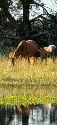 9605 County Road 3040, Mountain View, MO 65548