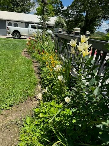 9605 County Road 3040, Mountain View, MO 65548