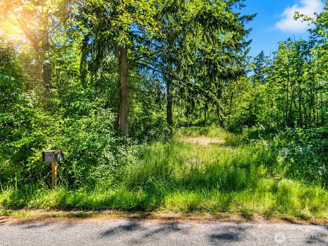 19509 161st Way SE, Yelm, WA 98597