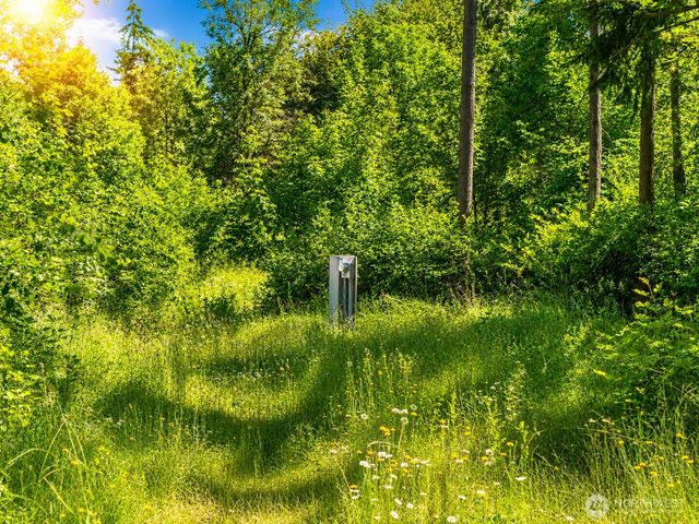 19509 161st Way SE, Yelm, WA 98597
