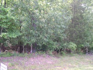 0000 Pekin Road 2, Candor, NC 27229