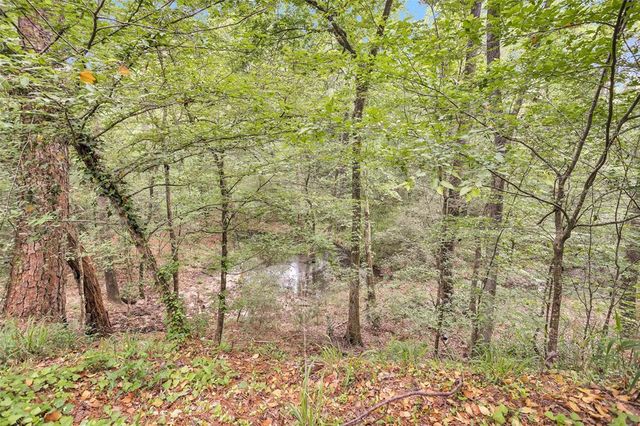 24614 Spruce, Huntsville, TX 77320