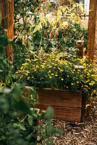 4390 Shaw Boulevard, Westminster, CO 80031