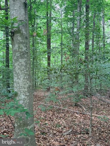 8704 MILLWOOD DR, Spotsylvania, VA 22551