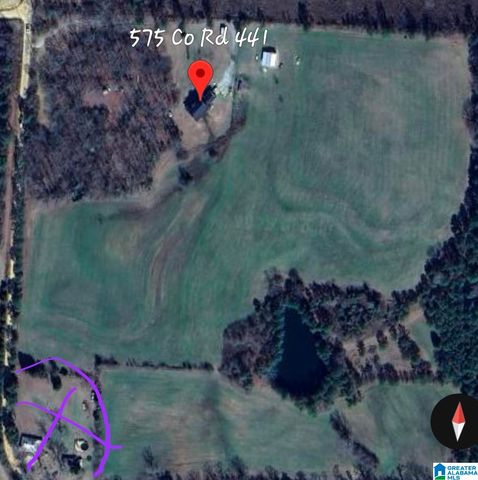 575 COUNTY ROAD 441, Verbena, AL 36091