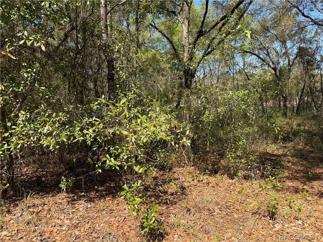 3551 E Baxley Place, Inverness, FL 34453