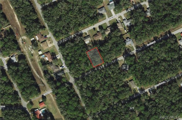 3551 E Baxley Place, Inverness, FL 34453