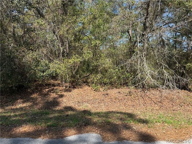 3551 E Baxley Place, Inverness, FL 34453