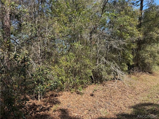 3551 E Baxley Place, Inverness, FL 34453