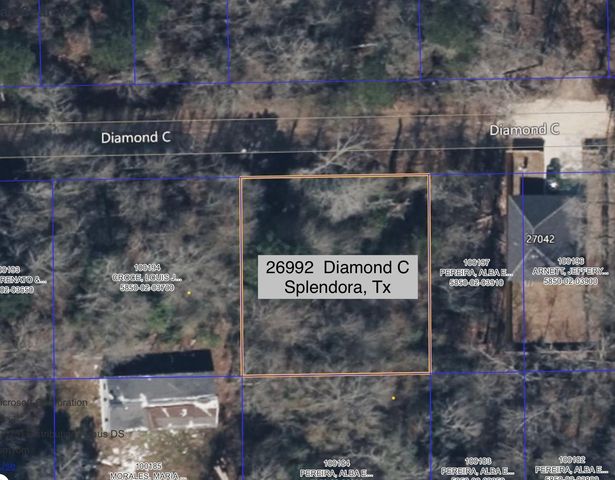 26992 Diamond C, Montgomery, TX 77372